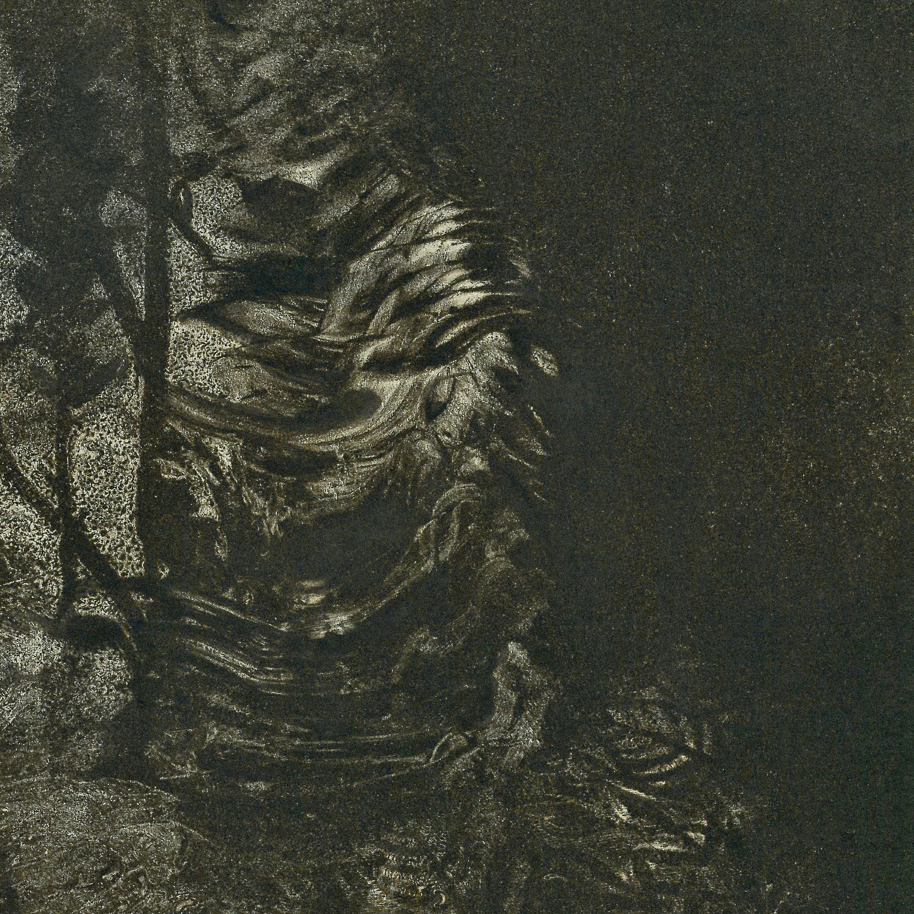 Mystical Obscurant
